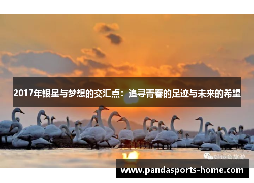 2017年银星与梦想的交汇点：追寻青春的足迹与未来的希望